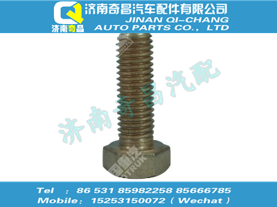 vg1246110058,汕德卡配件 汕德卡增压器螺栓,济南奇昌汽车配件有限公司