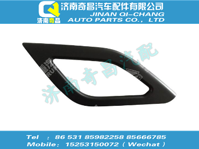 812w62630-7011,HOWO配件 HOWO左门内关门拉手盖板,济南奇昌汽车配件有限公司