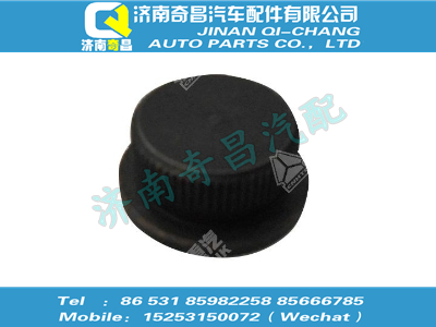 wg9012340011,汕德卡配件 汕德卡端盖顶销,济南奇昌汽车配件有限公司