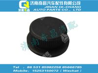 wg9012340011,汕德卡配件 汕德卡端盖顶销,济南奇昌汽车配件有限公司