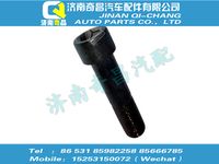 wg9003821250,HOWO配件 HOWO内六角圆柱头螺钉M12X1.25,济南奇昌汽车配件有限公司
