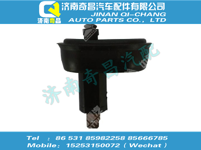 wg9918790001,SITRAK配件门灯开关,济南奇昌汽车配件有限公司