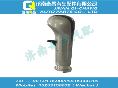 wg9700240091,HOWO配件 HOWO变速器换挡手柄及挡位标牌总成（12JS160T）,济南奇昌汽车配件有限公司