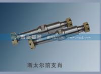 斯太尔前支肖