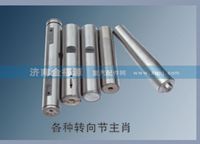各種轉(zhuǎn)向節(jié)主肖