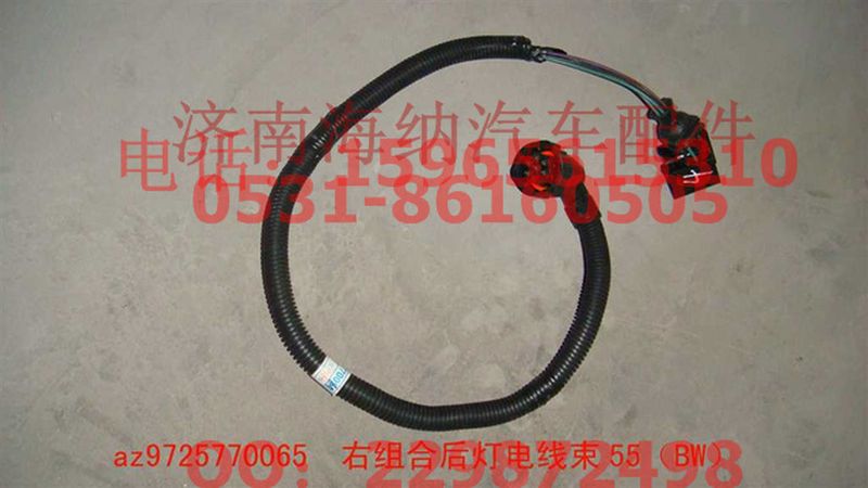 AZ9725770065,右组合后灯电线束50（BW）,济南海纳汽配有限公司