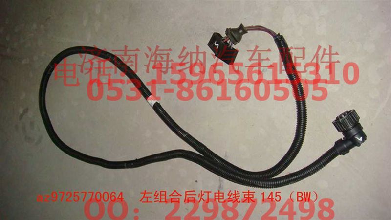 AZ9725770064,左组合后灯电线束140（BW）,济南海纳汽配有限公司