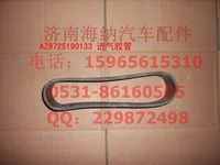 AZ9725190133,进气软管,济南海纳汽配有限公司