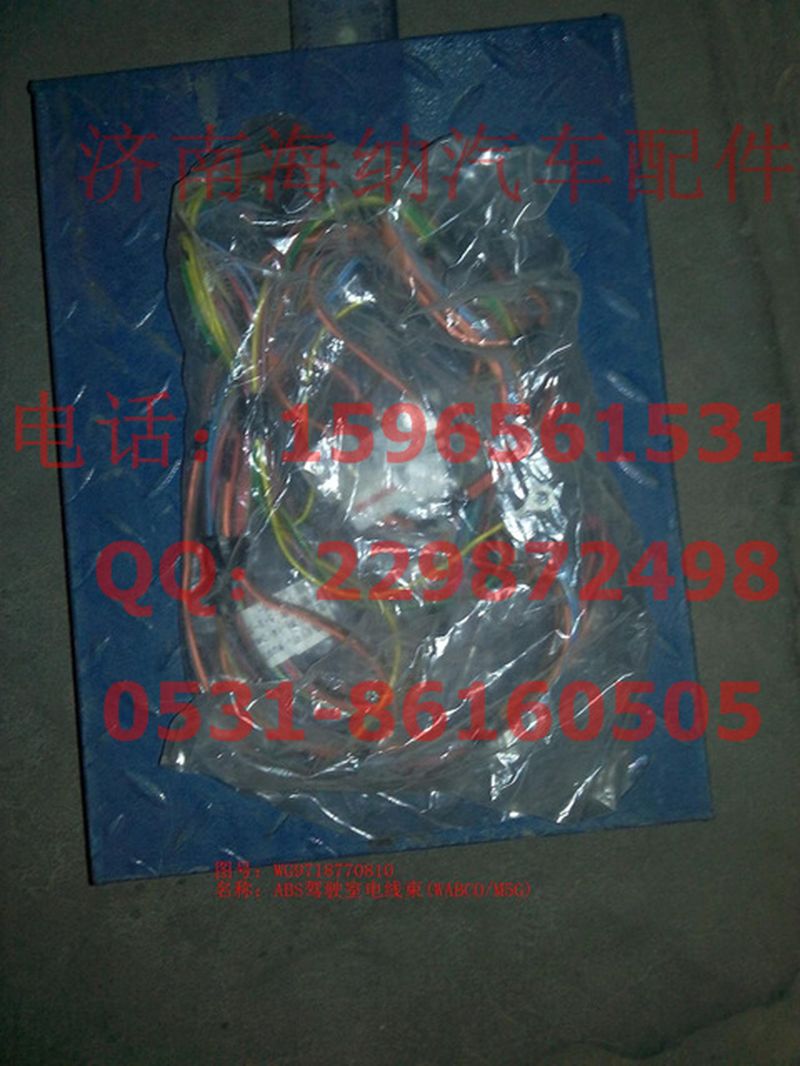 WG9718770810,ABS驾驶室电线束（M5G）,济南海纳汽配有限公司