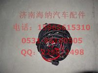 AZ9721778331,起动机电线束(左置22001650),济南海纳汽配有限公司
