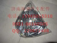 AZ9721770521,HW7E8×4载货车底盘电线束(ST双桥),济南海纳汽配有限公司
