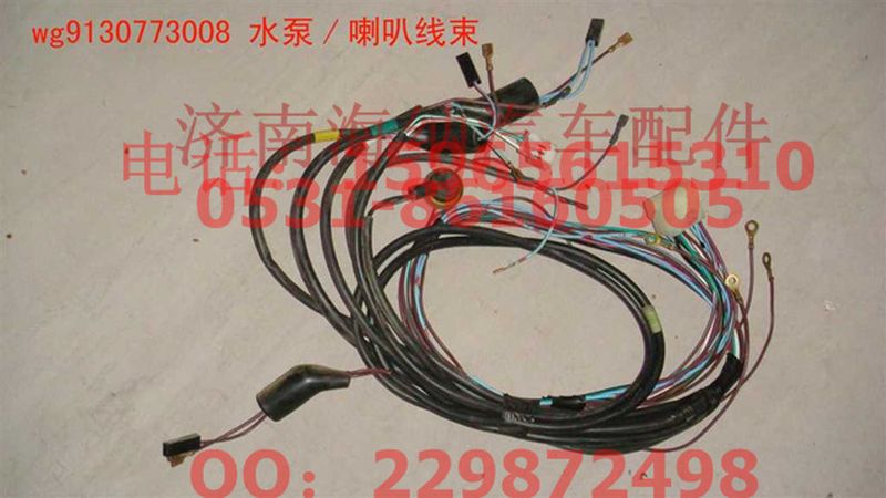 WG9130773008,水泵、喇叭线束,济南海纳汽配有限公司