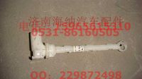 WG1664820025,蒸发器温度传感器（A7部件）,济南海纳汽配有限公司