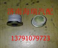 陜汽德龍漢德車橋MAN輪邊堵塞 