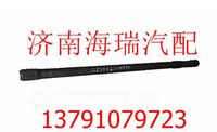 陜汽德龍漢德橋半軸左 