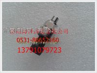 濰柴LNG天然氣發(fā)動(dòng)機(jī)壓力傳感器
