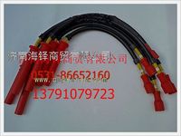 濰柴天然氣發(fā)動(dòng)機(jī)高壓線