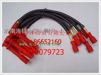 濰柴天然氣發(fā)動(dòng)機(jī)高壓線