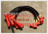 濰柴天然氣發(fā)動(dòng)機(jī)高壓線 ZNR6121N