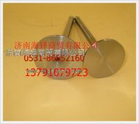 濰柴天然氣發(fā)動(dòng)機(jī)進(jìn)氣門  612600040495