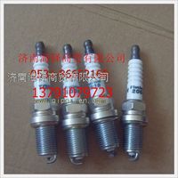 濰柴天然氣火花塞  612600980038