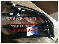 玉柴國五天然氣發(fā)動機高壓導(dǎo)線 