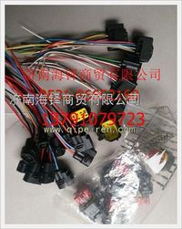 玉柴南充CNG LNG燃?xì)獍l(fā)動機線圈插頭