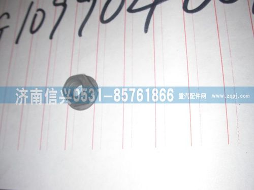 VG1099040010,带肩螺母（喷油器压板螺母）,济南信兴汽车配件贸易有限公司