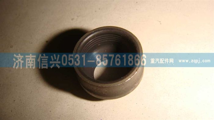 VG1540040026,气门阀杆密封套（双唇口）CNG,济南信兴汽车配件贸易有限公司