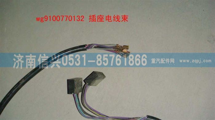WG9100770132,插座电线束,济南信兴汽车配件贸易有限公司