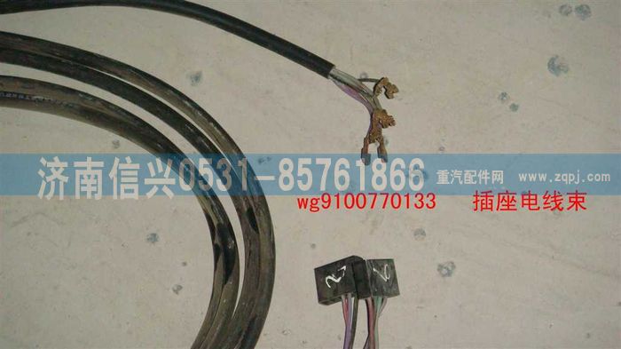 WG9100770133,插座电线束,济南信兴汽车配件贸易有限公司