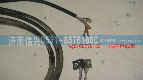 WG9100770133,插座电线束,济南信兴汽车配件贸易有限公司