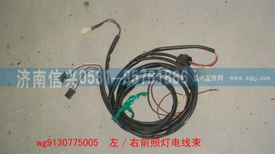 WG9130775005,WG9130775005左、右前照灯线束,济南信兴汽车配件贸易有限公司