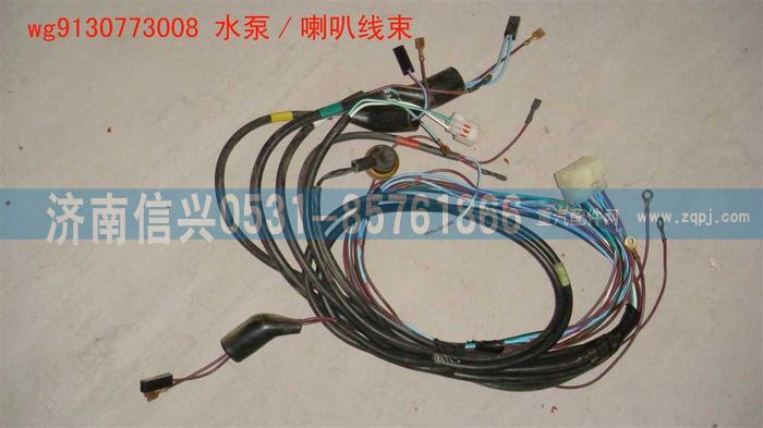 WG9130773008,WG9130773008水泵、喇叭线束,济南信兴汽车配件贸易有限公司