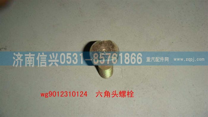 WG9012310124,WG9012310124六角头螺栓,济南信兴汽车配件贸易有限公司