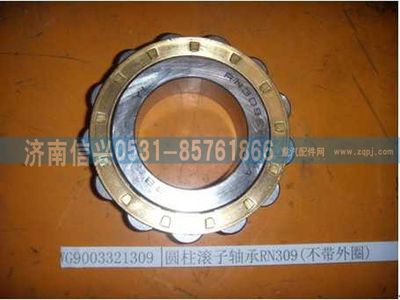WG9003321309    ,WG9003321309圆柱滚子轴承RN309(不带外圈),济南信兴汽车配件贸易有限公司