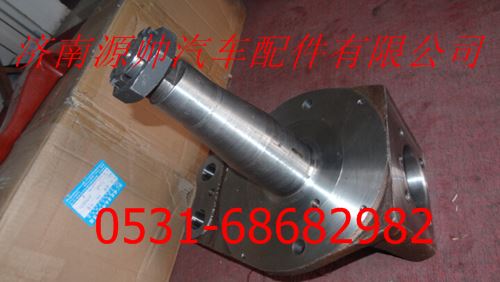 AK880410028,欧曼安凯车桥转向节总成,济南源帅汽车配件有限公司