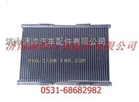 DZ13241824330,陕汽德龙F3000冷凝器,济南源帅汽车配件有限公司