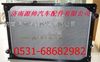 陕汽德龙F3000散热器 陕汽德龙F3000水箱