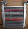 重汽金王子290马力中冷器