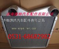 WG9120530509,重汽金王子290马力中冷器,济南源帅汽车配件有限公司
