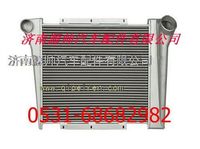 WG971930280,重汽中冷器总成,济南源帅汽车配件有限公司
