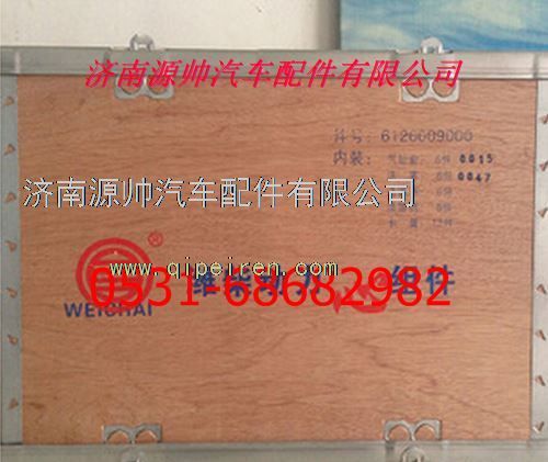 潍柴四配套/6126009000