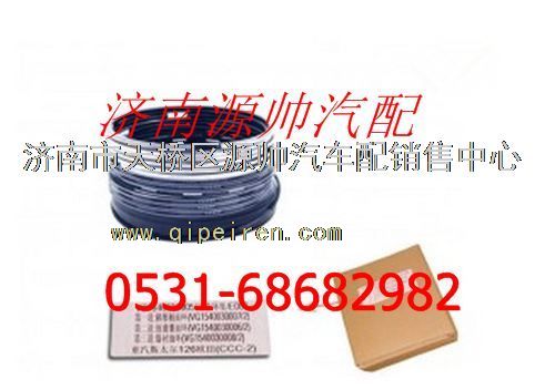 重汽D12活塞环图1