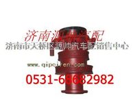 612600060726,重汽WD615发动机水泵,济南源帅汽车配件有限公司
