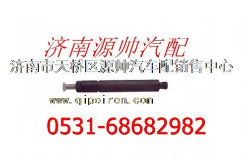 重汽WP12发动机喷油器总成图1