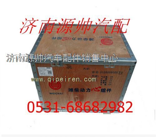 潍柴WP10发动机四配套组件612600900079/612600900079