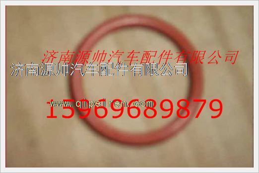 重汽发动机喷油器衬套密封圈VG1406060010图1