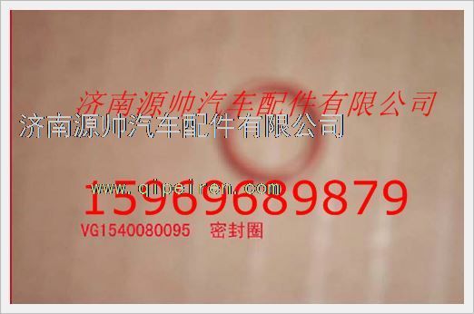 重汽发动机喷油器密封圈VG1540080095图1