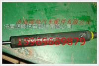 重汽发动机喷油器总成VG1095080085